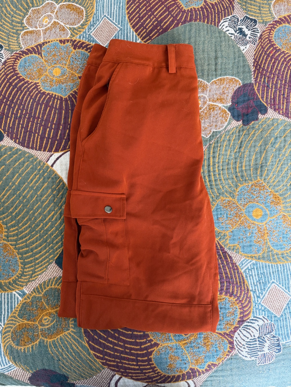 Express x Negin Mirsalehi Cargo Pants in Rust
